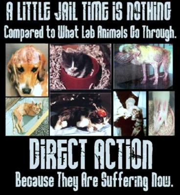 Animal testing IS animal abuse!