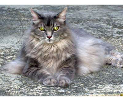  Beautiful Baby on Beautiful Baby Blue