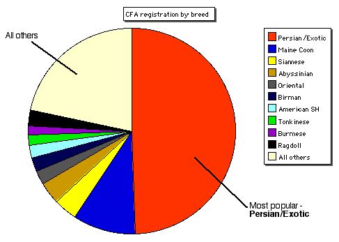 most popular pedigree cats in USA