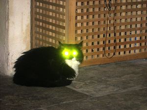 cat eye laser eye