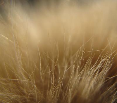 Photo by kevindooley (Flickr) Photo by kevindooley (Flickr)