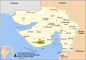 Lion range in India