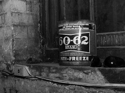 Photo by eskimo_jo (Flickr) Photo by eskimo_jo (Flickr)