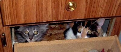 See drawer track on left See drawer track on left