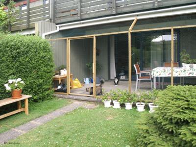 Milly and Snow White enjoying their new catio Milly and Snow White enjoying their new catio