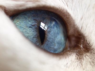 Photo by Tscherno (Flickr) Photo by Tscherno (Flickr)