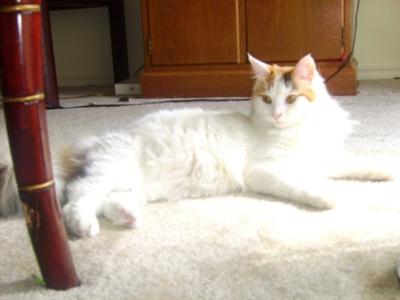 Sunbathing Sunbathing